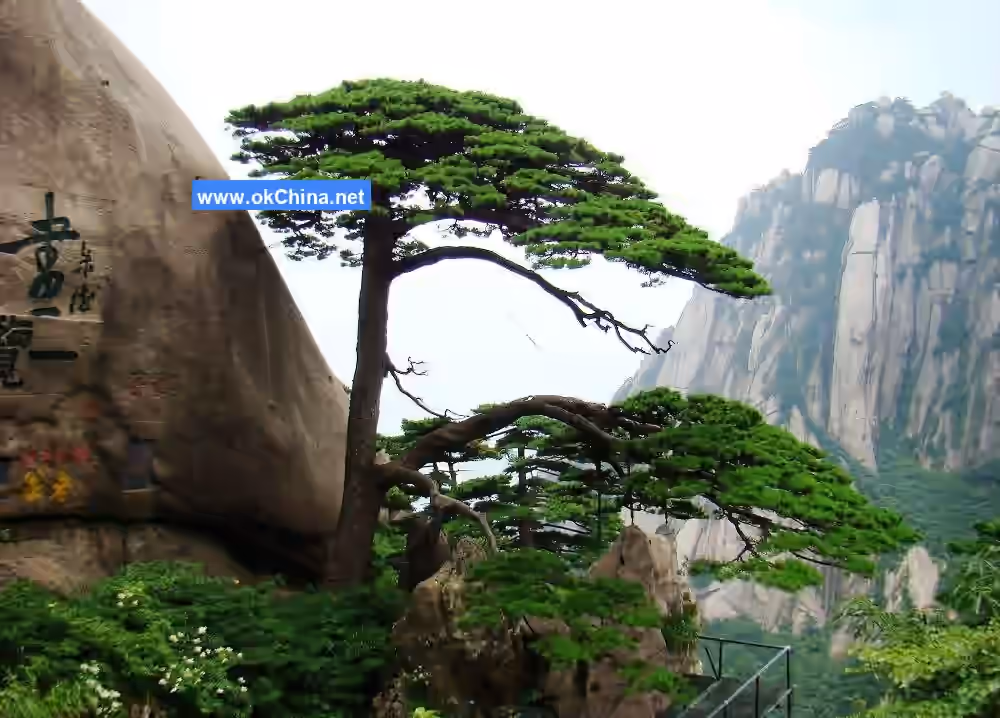 Huangshan Mountain Scenic Area