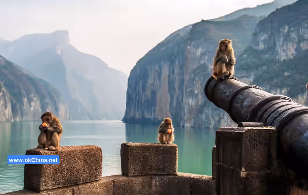 Baidi City And Qutang Gorge Scenic Area