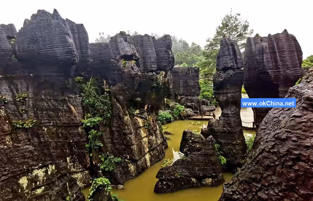 Wansheng Black Mountain Valley And Dragon Scale Stone Sea Scenic Area