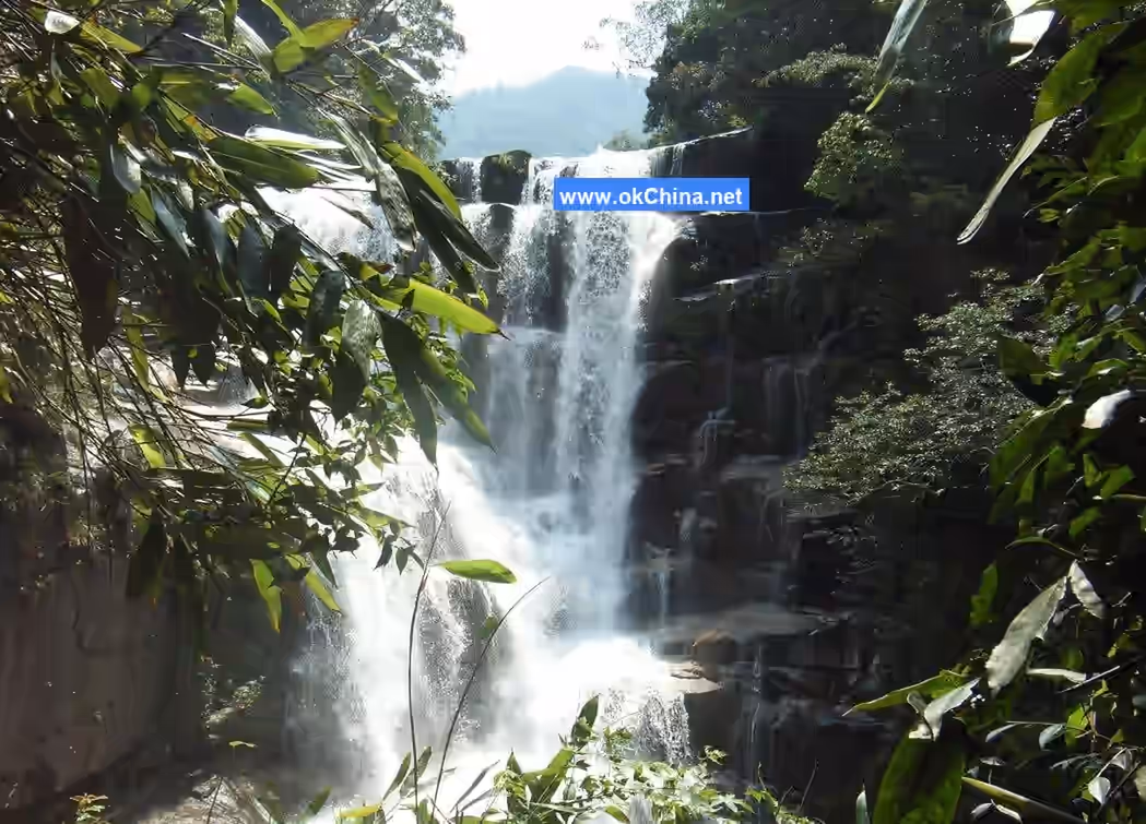 Wuyi Mountain Scenic Area