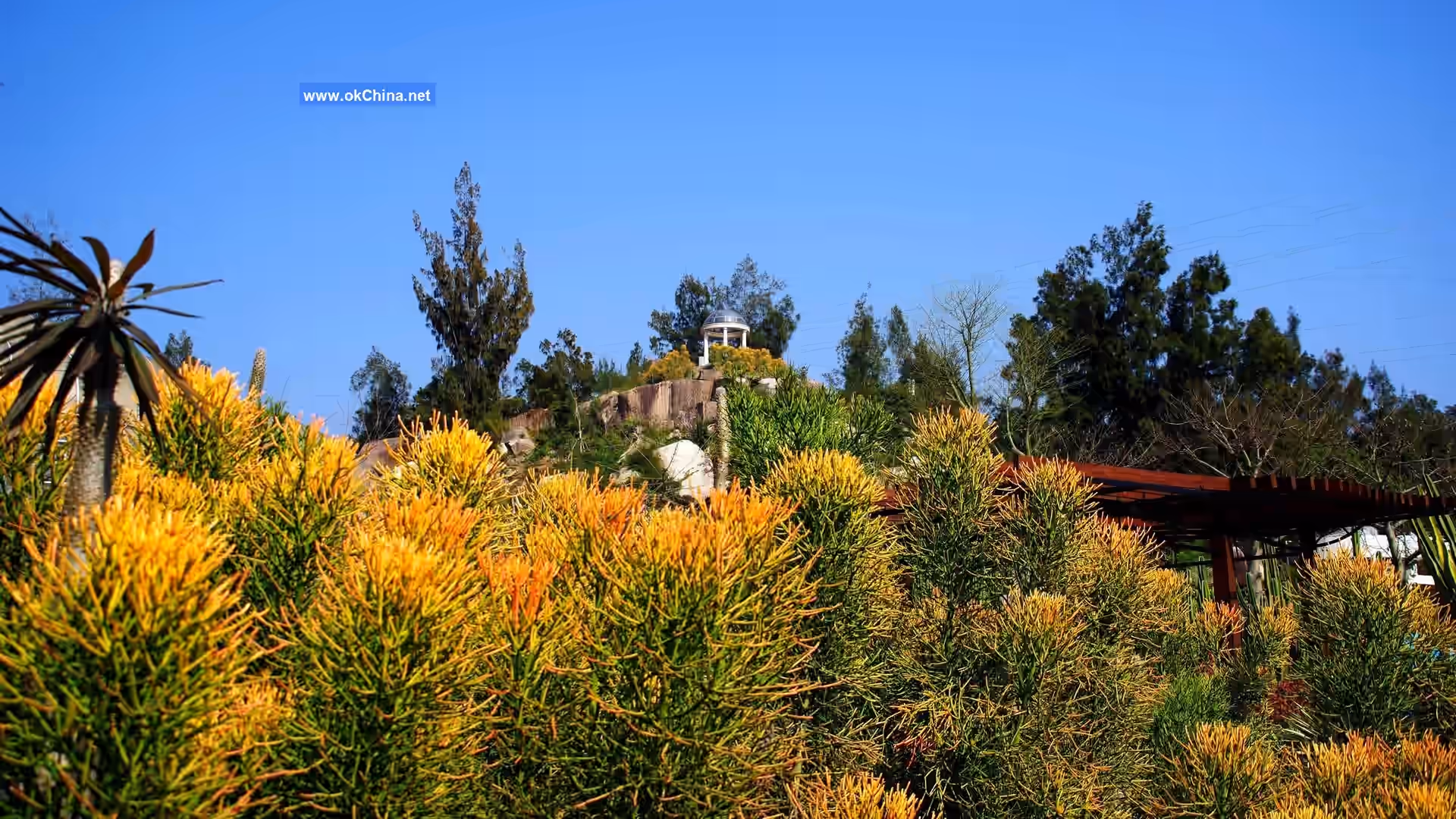 Xiamen Botanical Garden Scenic Area
