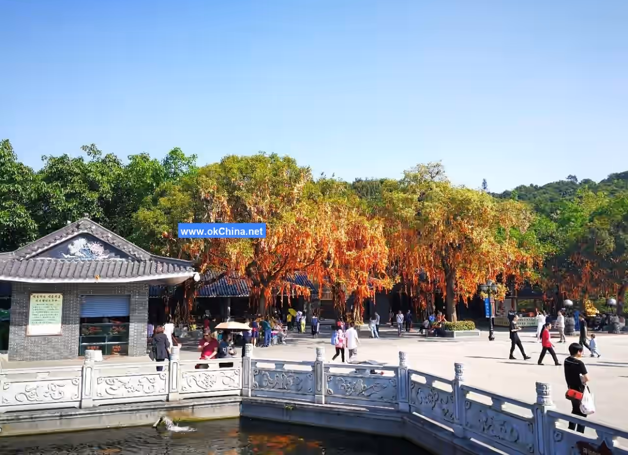 Xiqiao Mountain Scenic Area