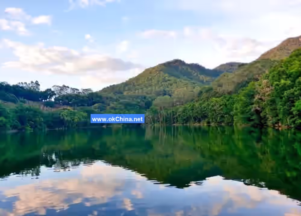 Yannanfei Tea Plantation Scenic Area