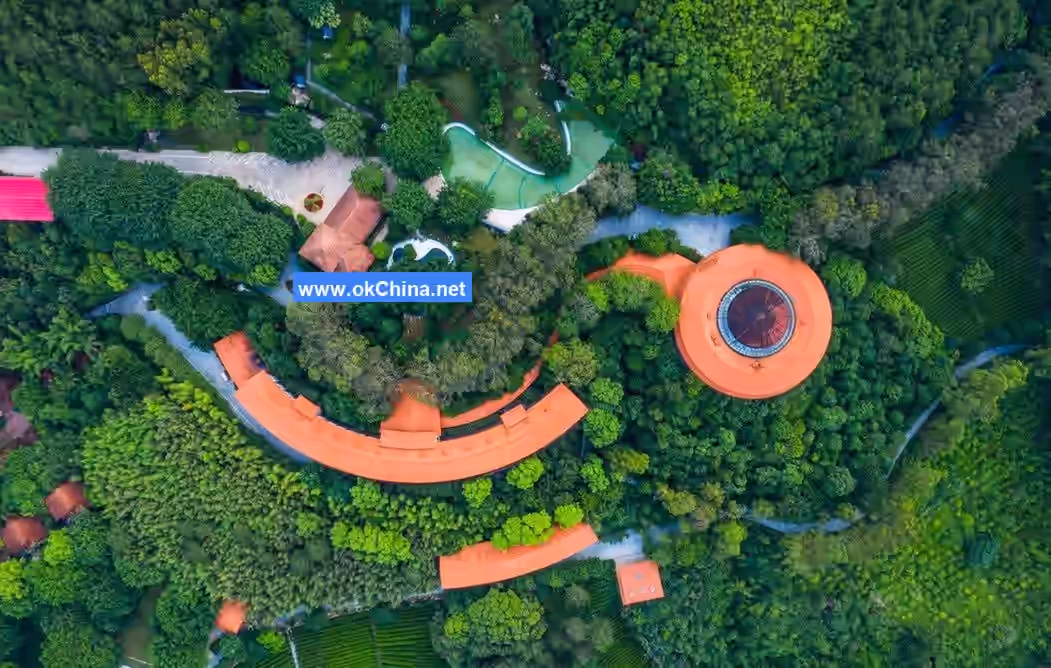 Yannanfei Tea Plantation Scenic Area