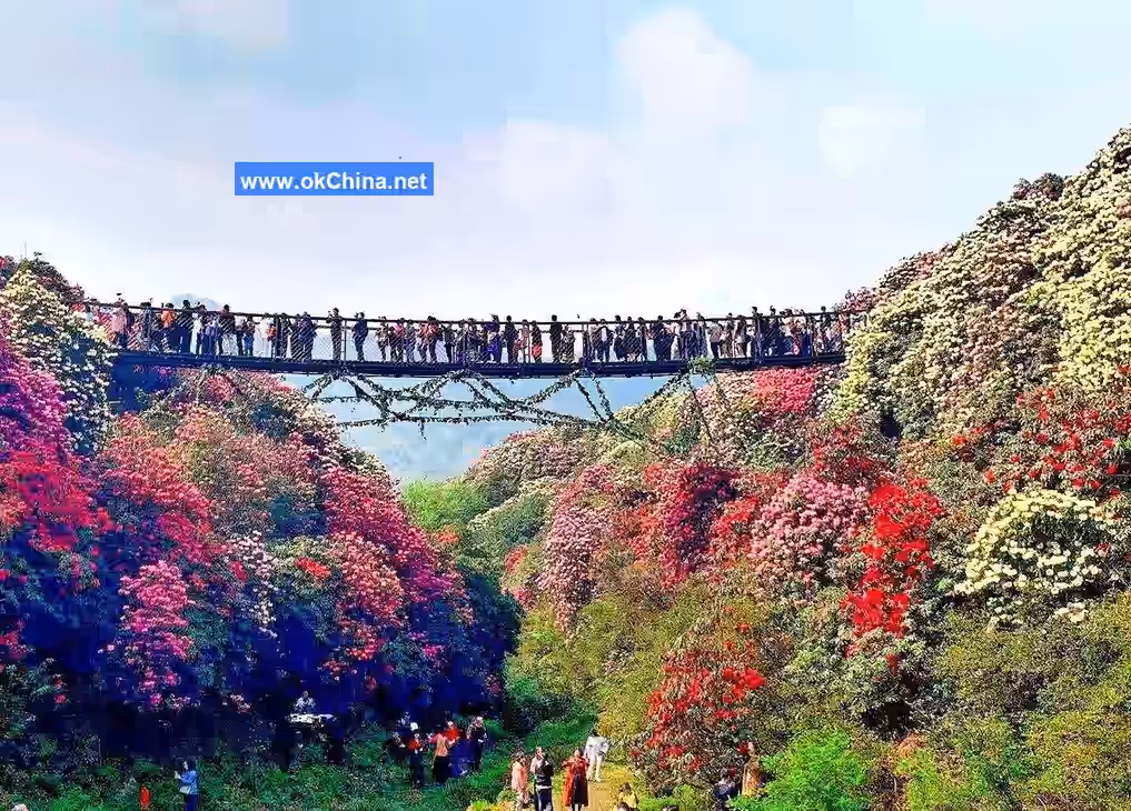 Bai Li Dujuan Scenic Area