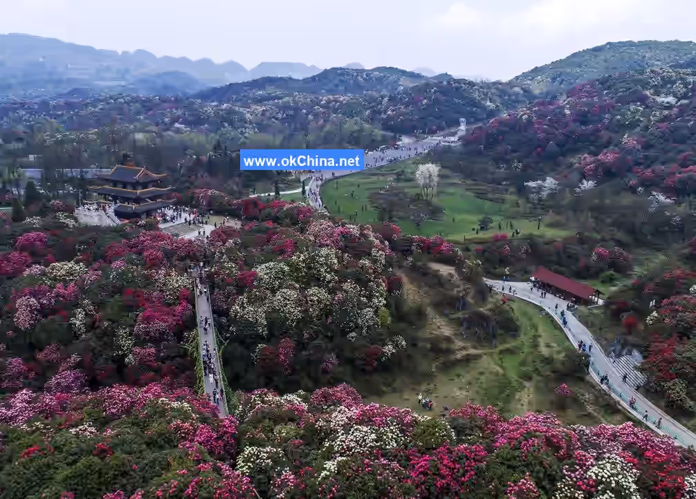 Bai Li Dujuan Scenic Area