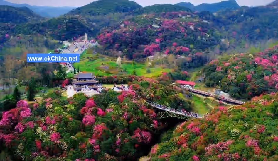 Bai Li Dujuan Scenic Area