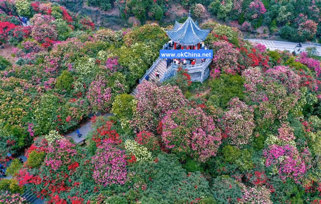 Bai Li Dujuan Scenic Area