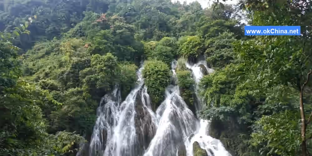 Zhangjiang Scenic Area