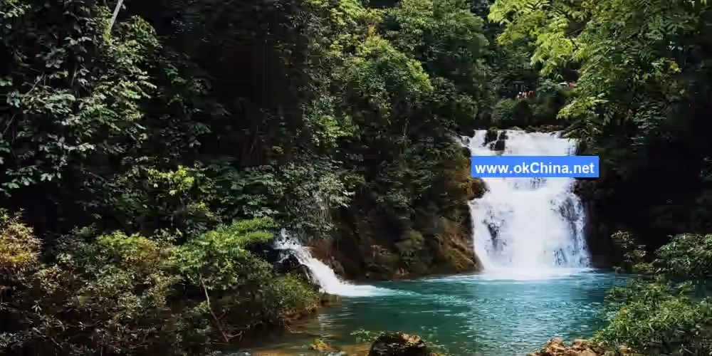 Zhangjiang Scenic Area