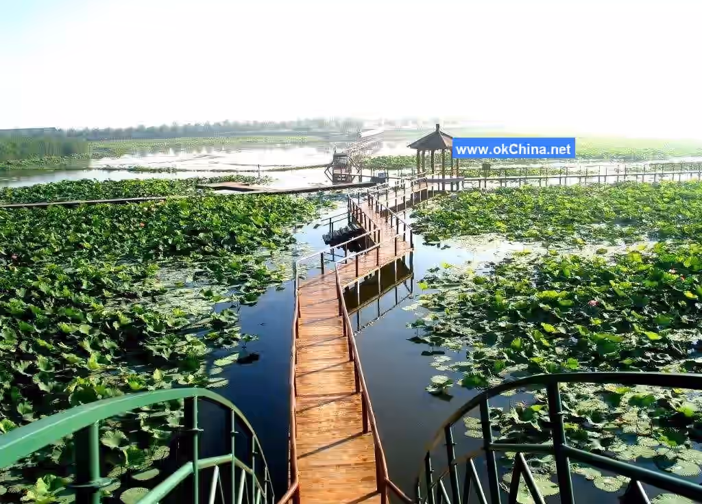 Baiyang Lake Scenic Area