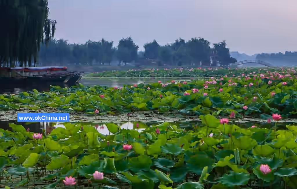 Baiyang Lake Scenic Area