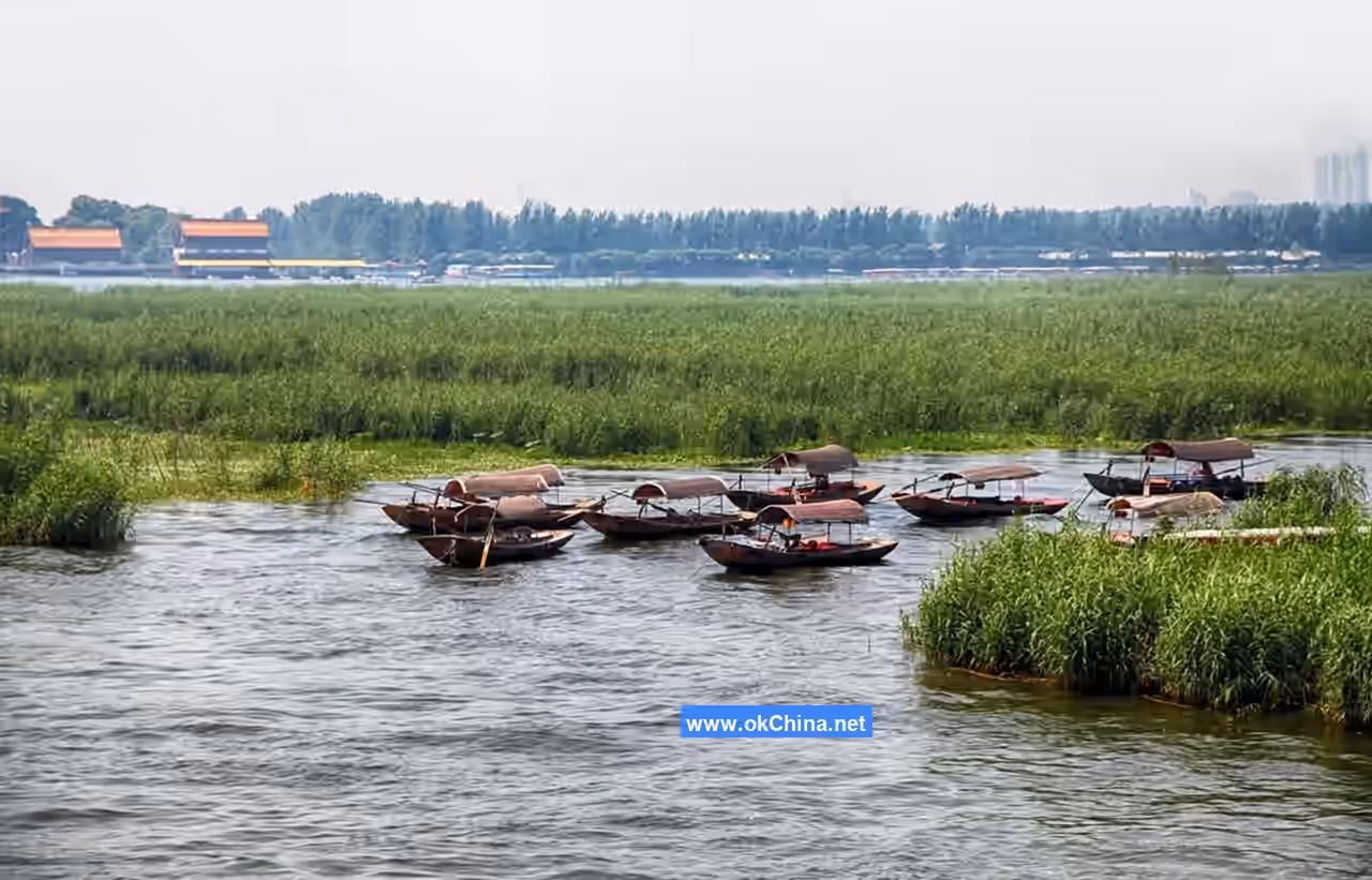 Baiyang Lake Scenic Area