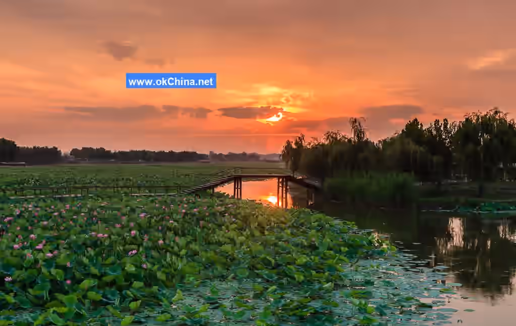 Baiyang Lake Scenic Area