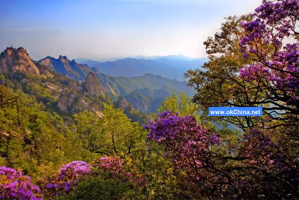 Yao Mountain And Central Plains Buddha Scenic Area