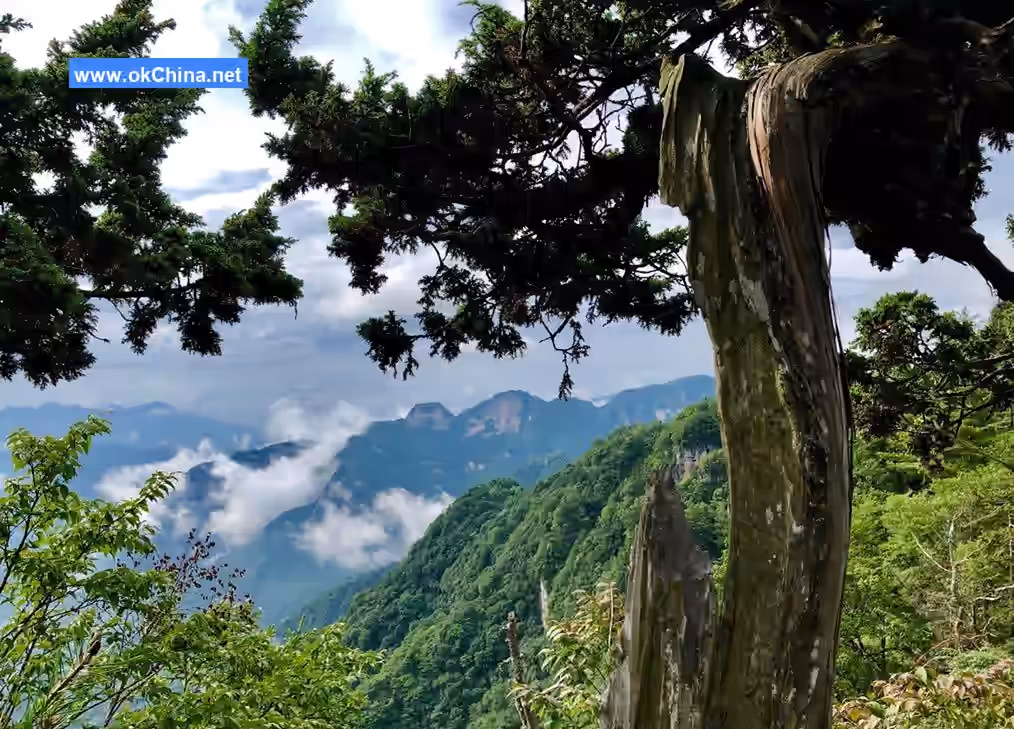 Shennongjia Ecological Tourist Area