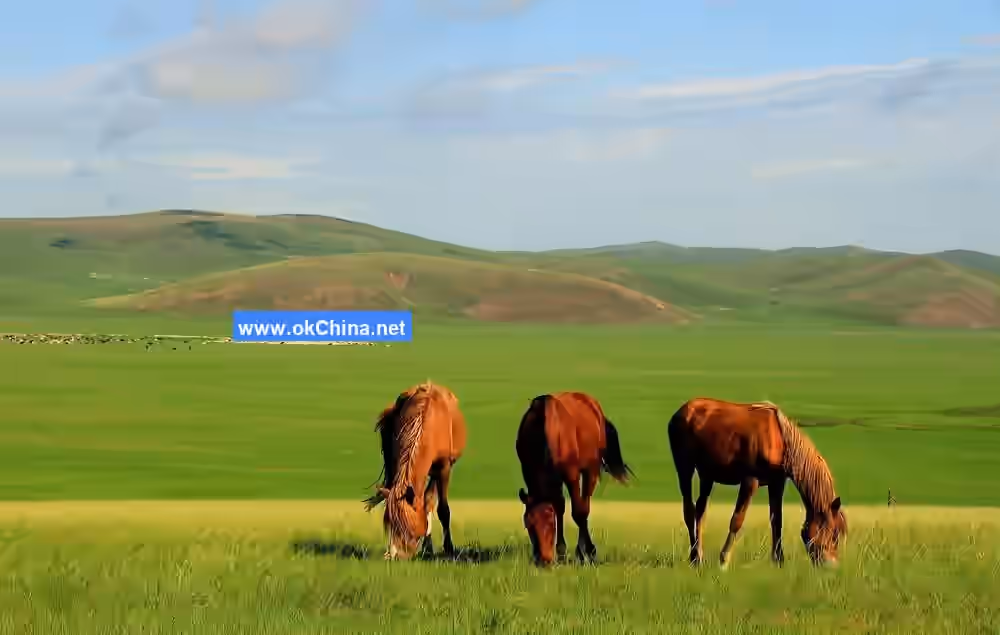 Hulunbuir Grassland And Moergai River Scenic Area