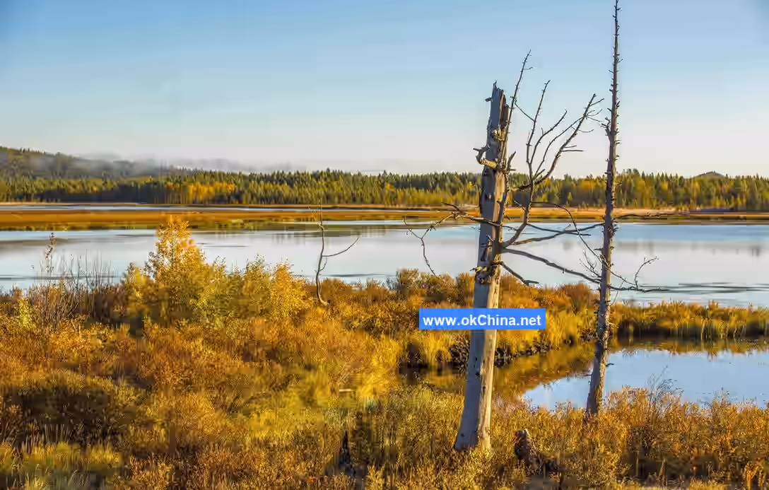 Hulunbuir Grassland And Moergai River Scenic Area