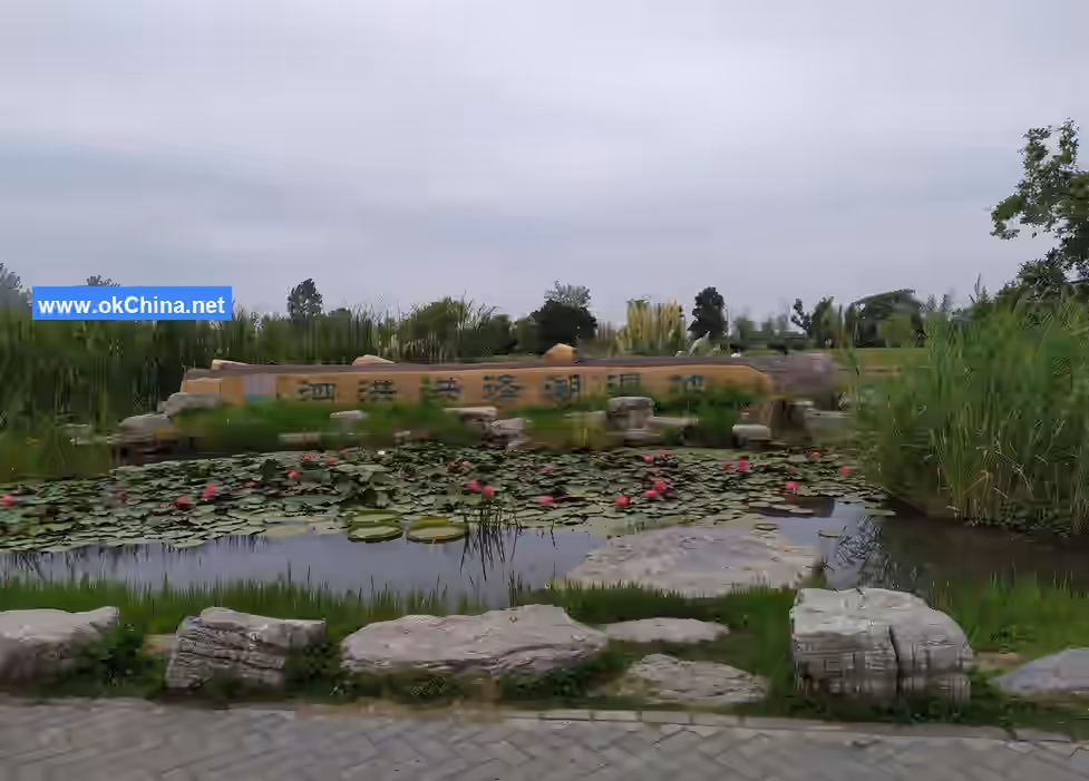 Hongze Lake Wetland Scenic Area