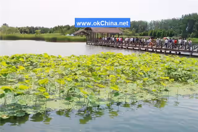 Qinhu Lake Tourist Area