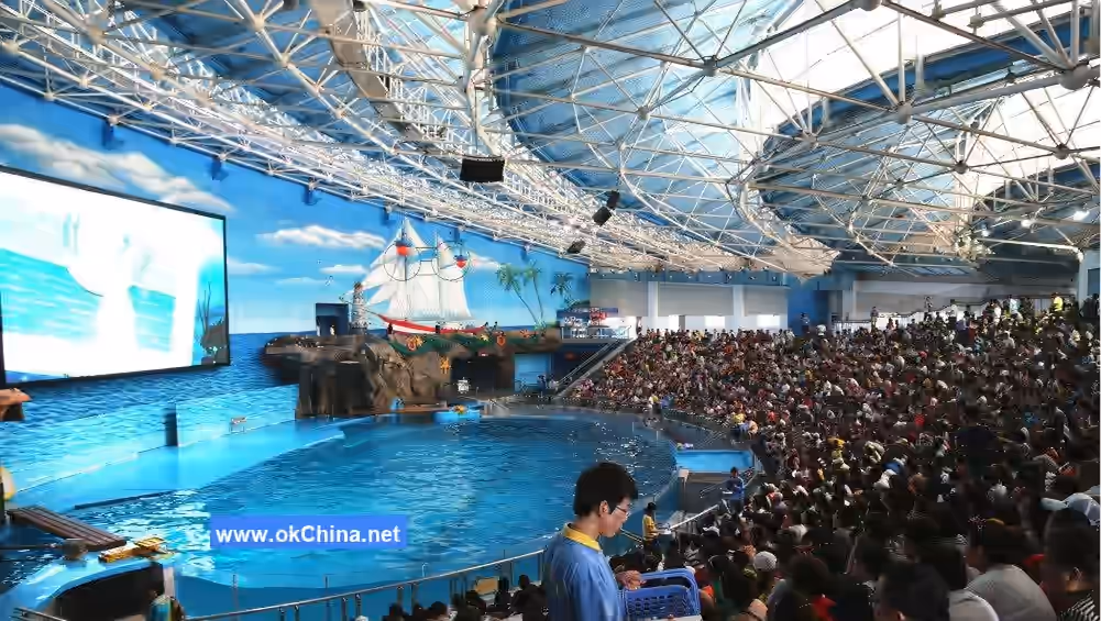 Tiger Beach Ocean Park And Tiger Beach Polar Aquarium