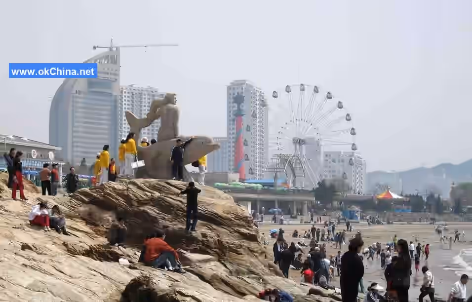 Tiger Beach Ocean Park And Tiger Beach Polar Aquarium
