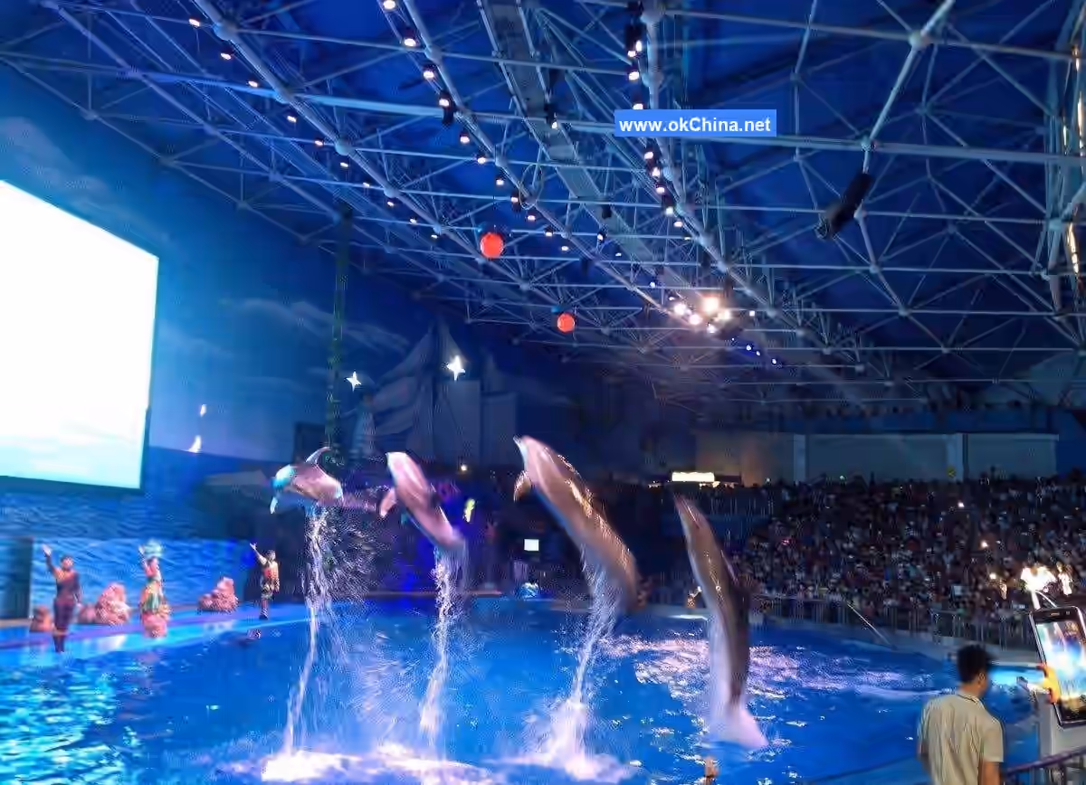 Tiger Beach Ocean Park And Tiger Beach Polar Aquarium