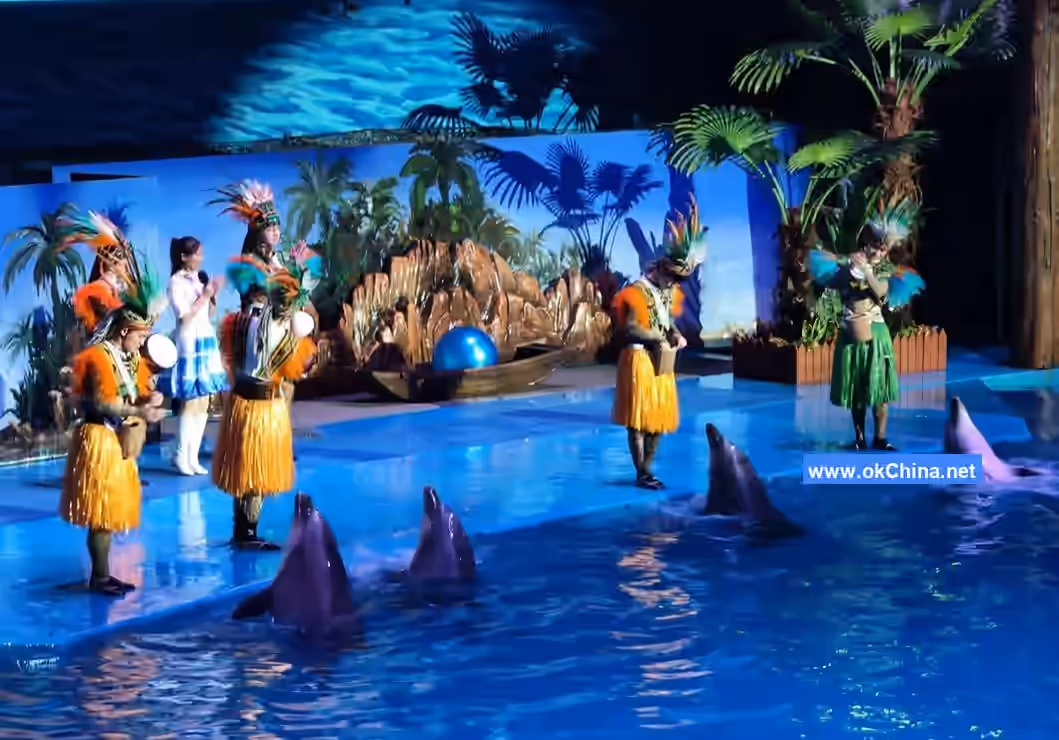 Tiger Beach Ocean Park And Tiger Beach Polar Aquarium