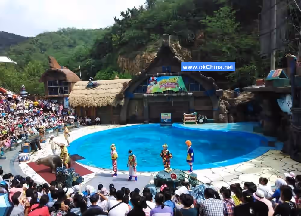 Tiger Beach Ocean Park And Tiger Beach Polar Aquarium