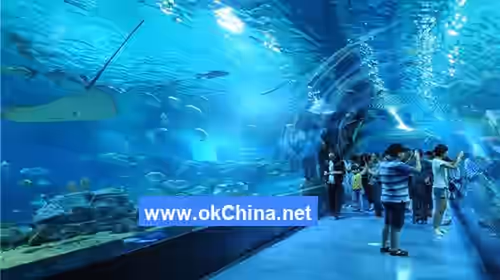 Tiger Beach Ocean Park And Tiger Beach Polar Aquarium