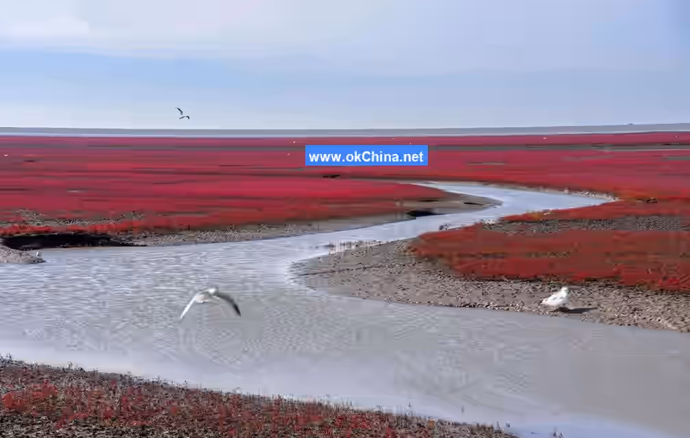 Red Beach Scenic Corridor
