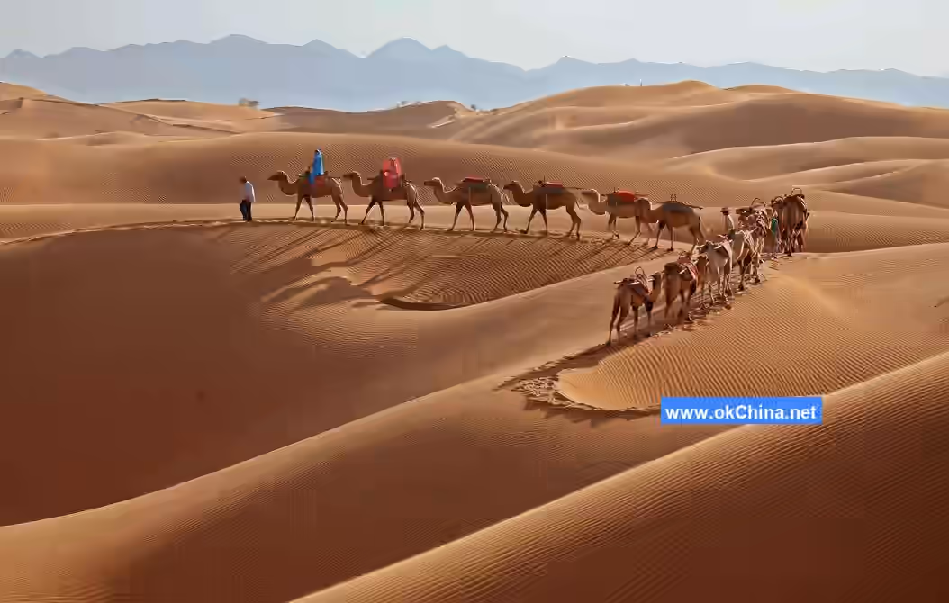 Shapotou Tourist Area