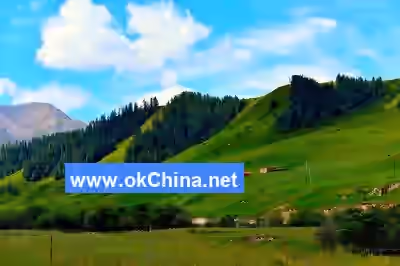 Aimi Dongsuo Scenic Area