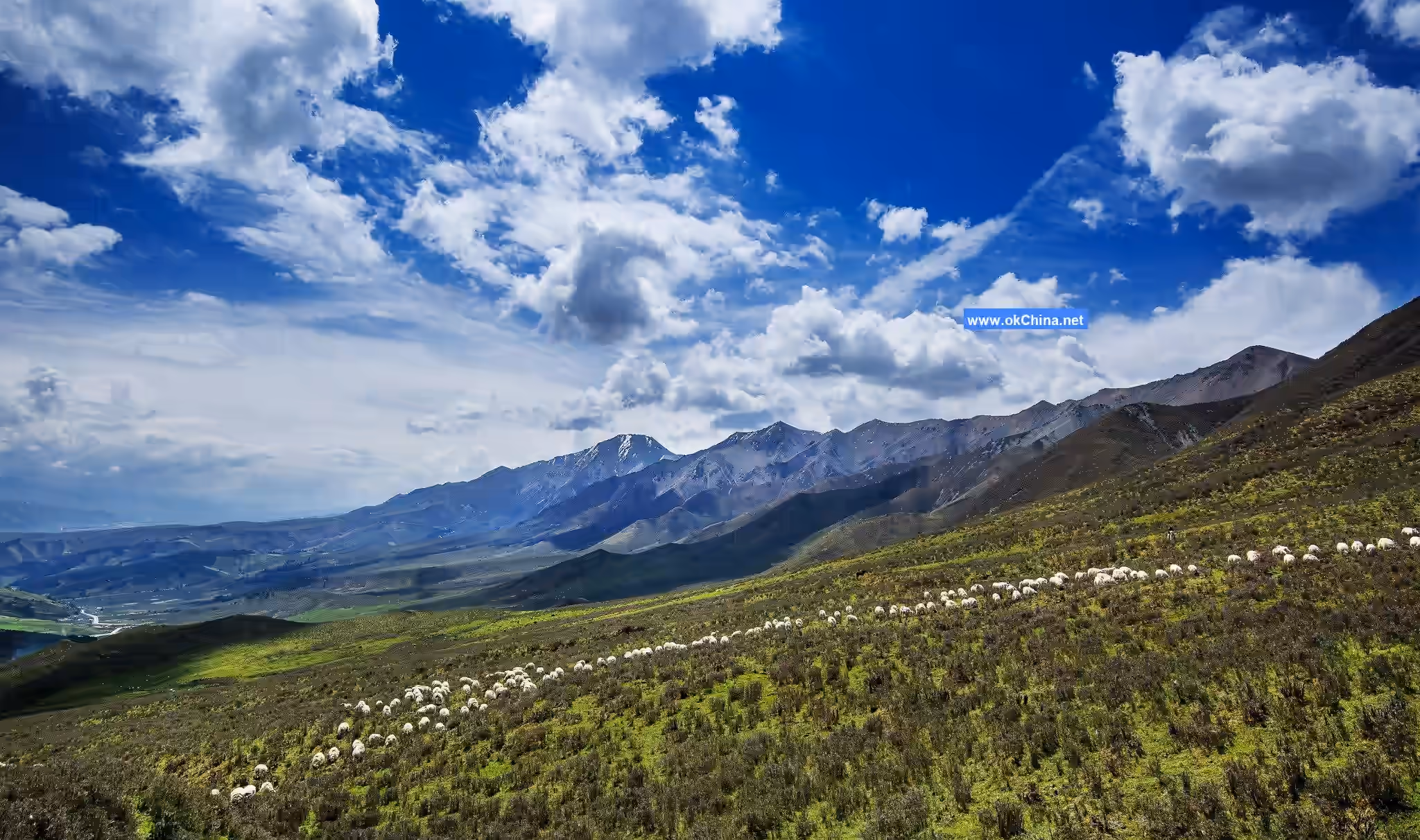 Aimi Dongsuo Scenic Area