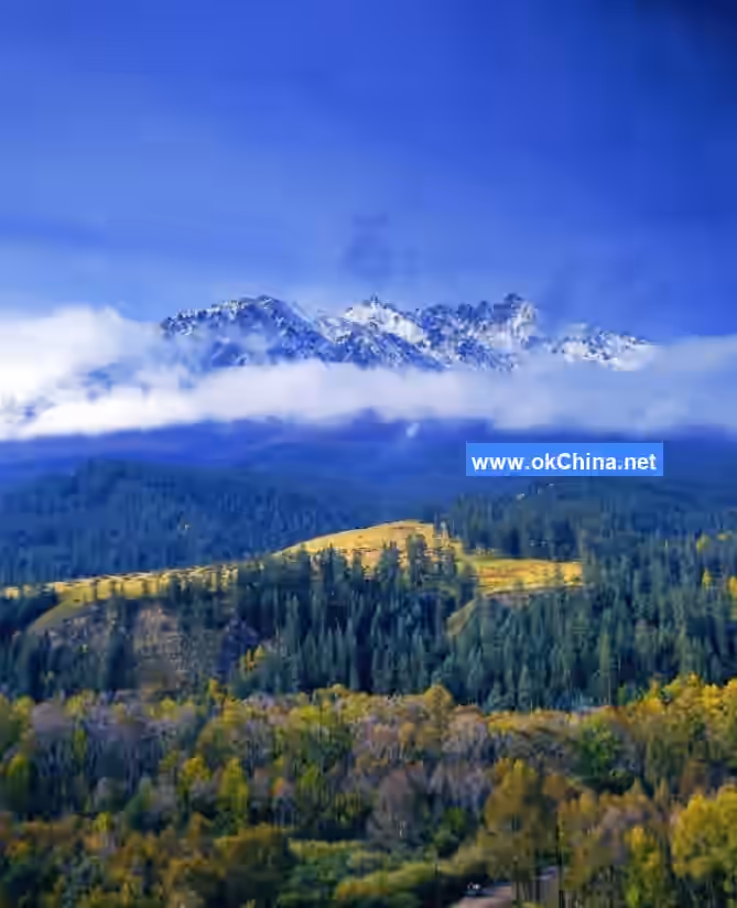 Aimi Dongsuo Scenic Area