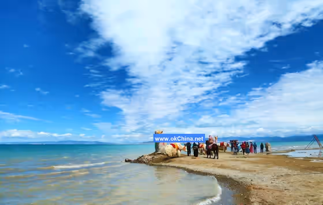 Qinghai Lake Scenic Area