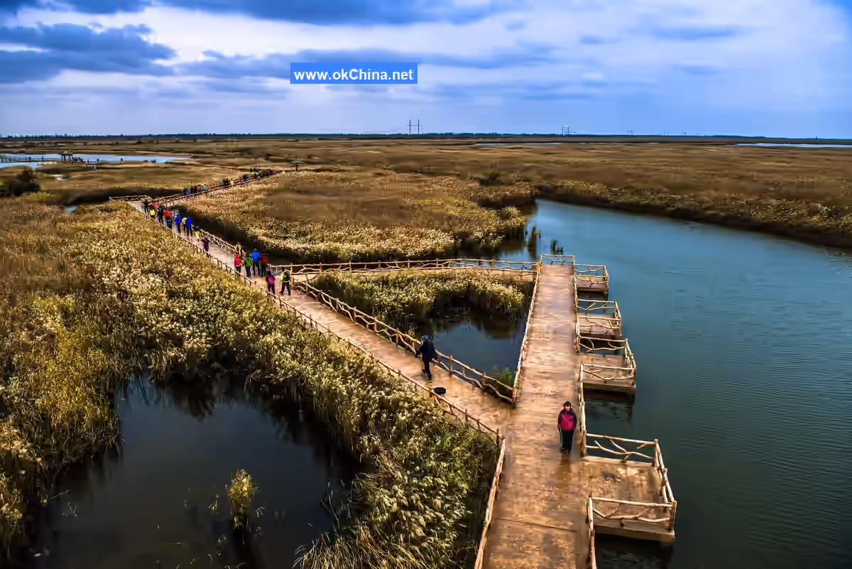 Yellow River Estuary Ecological Tourist Area