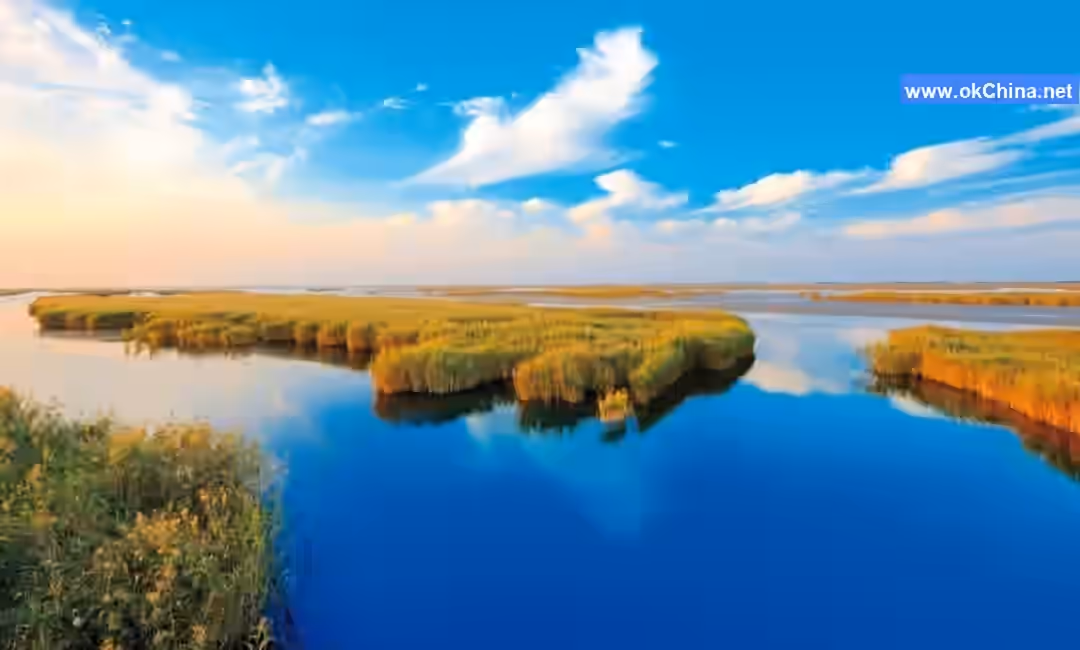 Yellow River Estuary Ecological Tourist Area