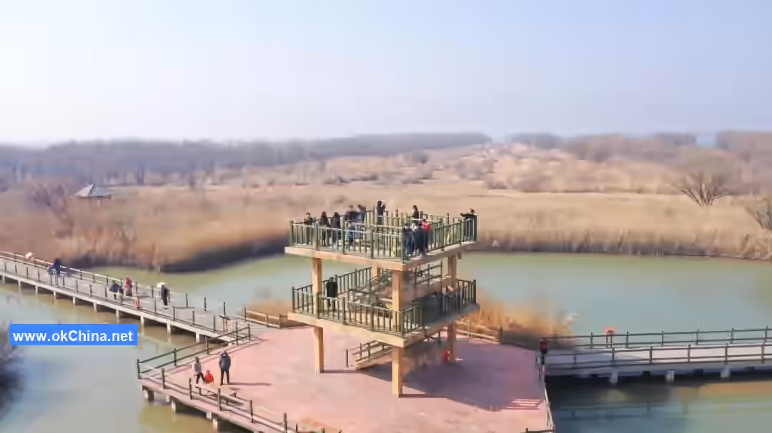 Yellow River Estuary Ecological Tourist Area