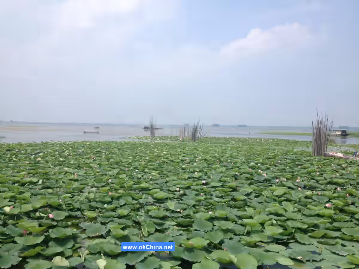 Weishan Lake Tourist Area