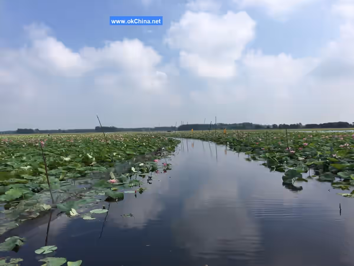 Weishan Lake Tourist Area