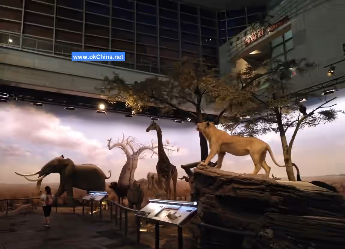 Shanghai Science And Technology Museum