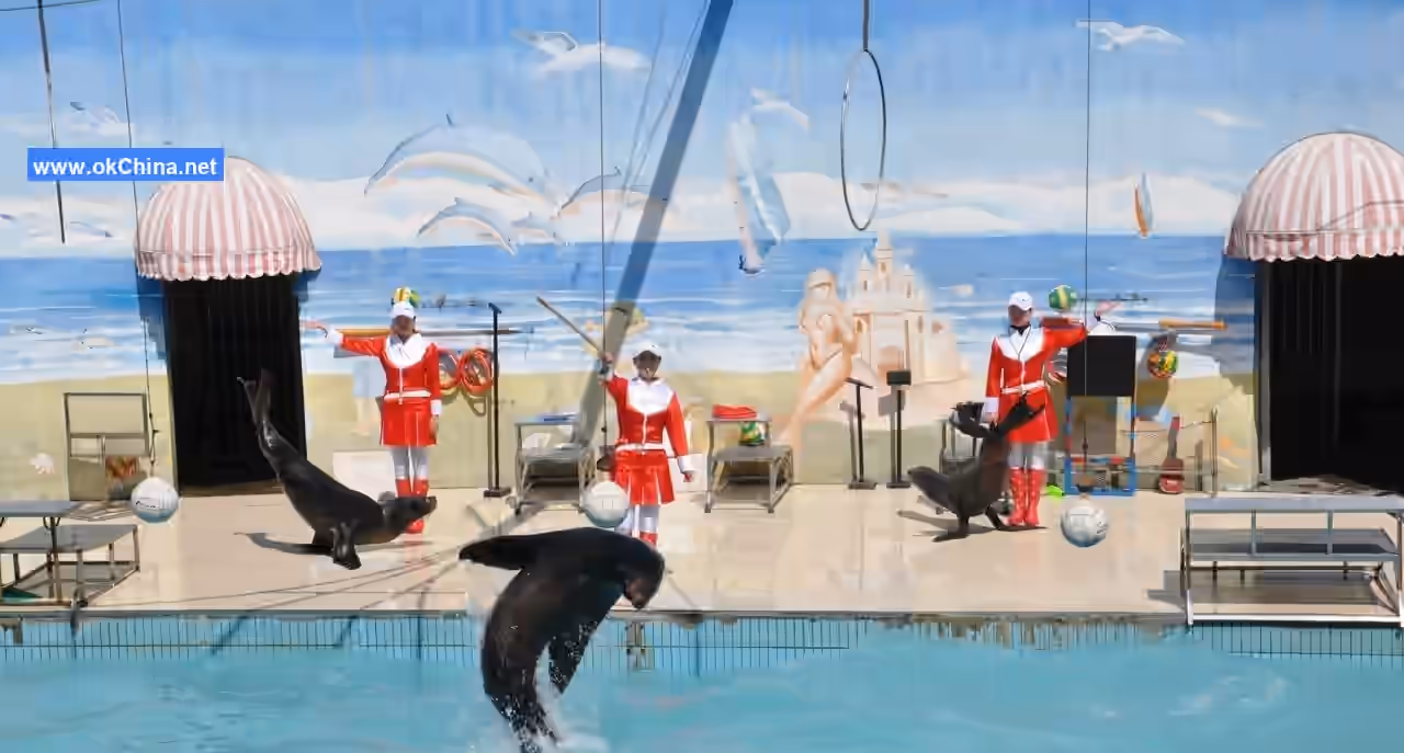 Shanghai Wild Animal Park