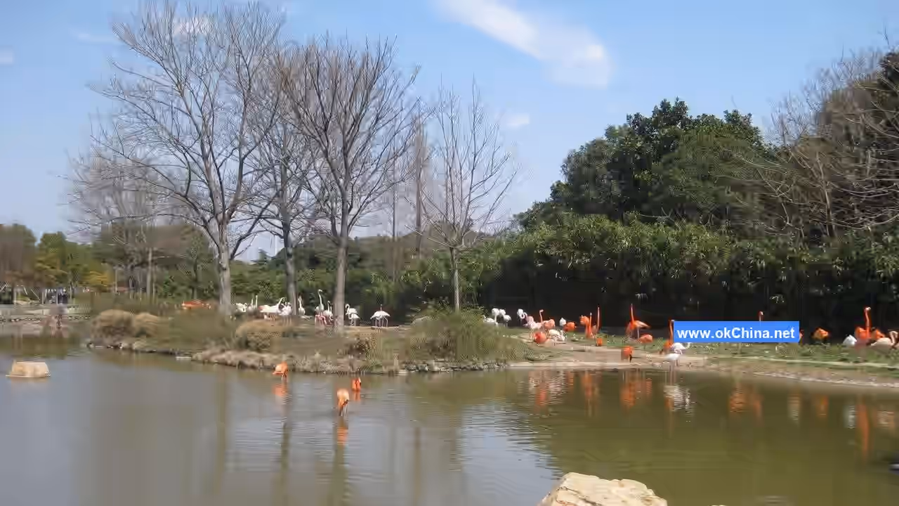 Shanghai Wild Animal Park