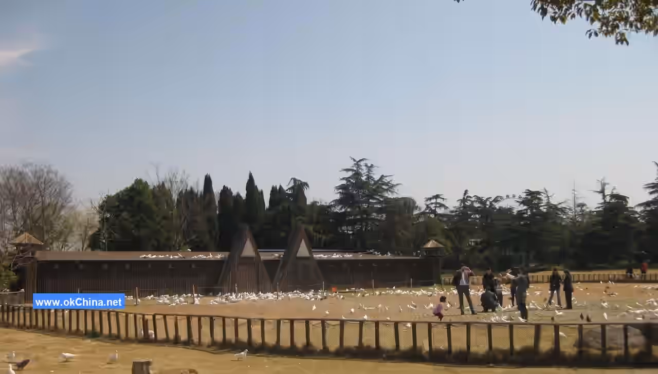 Shanghai Wild Animal Park