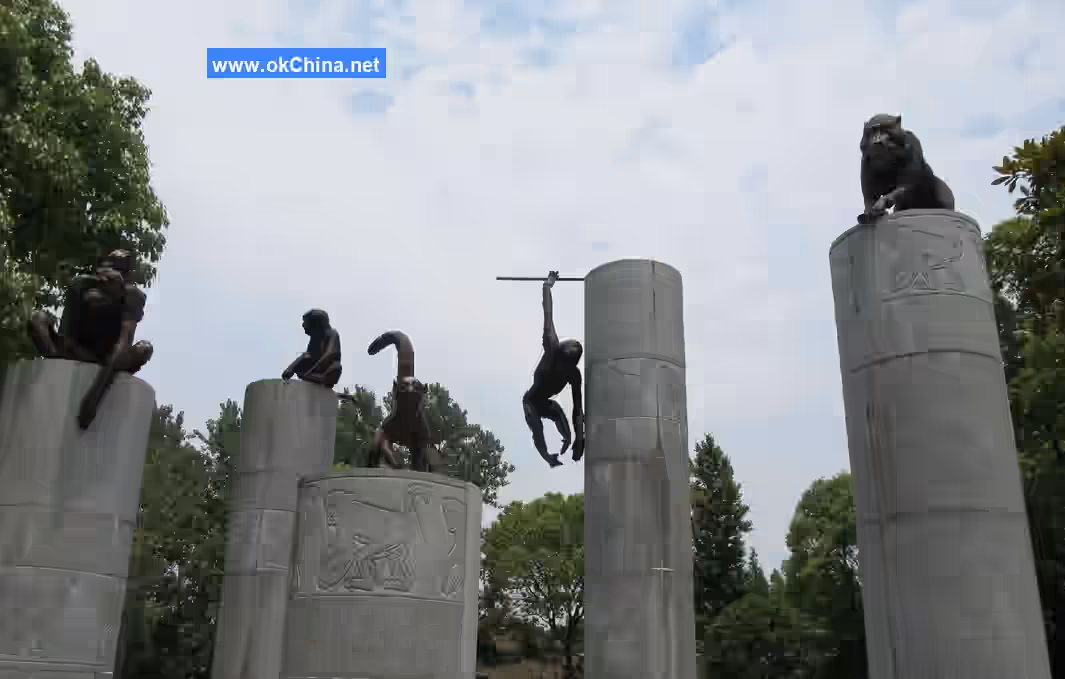 Shanghai Wild Animal Park