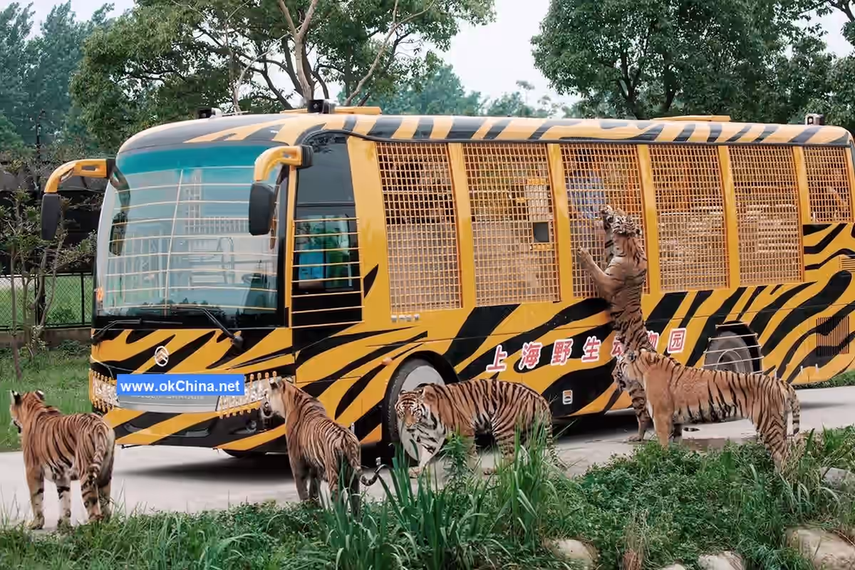 Shanghai Wild Animal Park