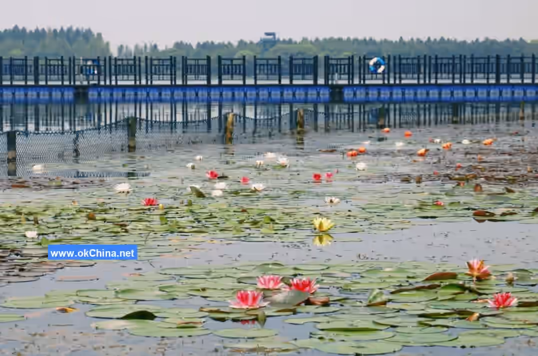 Xisha Pearl Lake Scenic Area