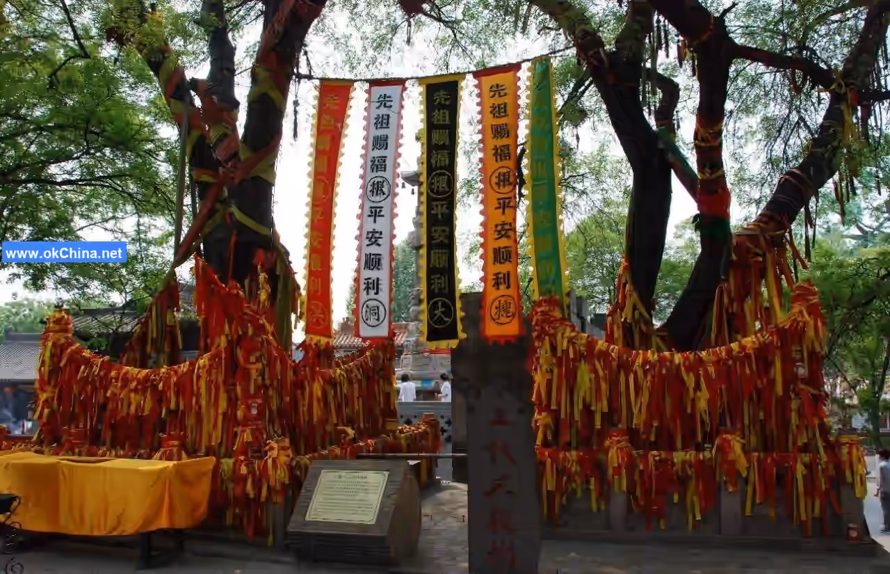 Hongtong Dahuaishu Ancestral Shrine Scenic Area