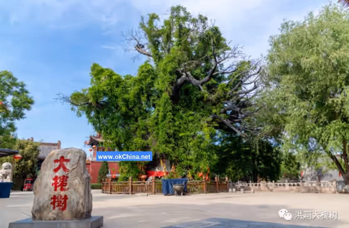 Hongtong Dahuaishu Ancestral Shrine Scenic Area